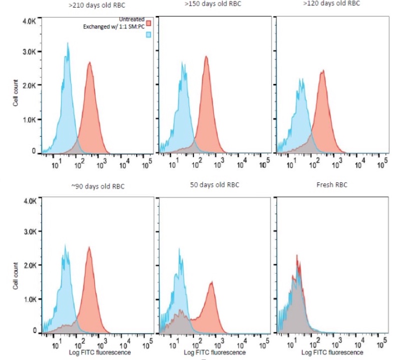 Method for Increasing the Storage Life of Donated Red Blood Cells